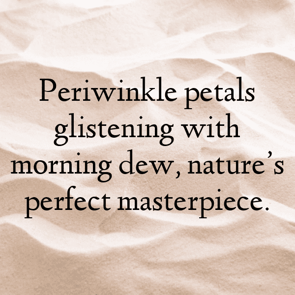 Vinca Captions Image For Instagram-iTcbVi