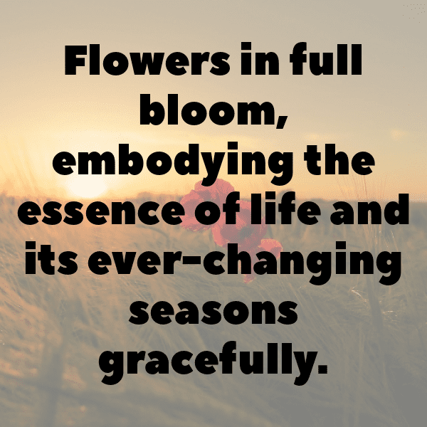 Vinca Captions Image For Instagram-xzo5Sn