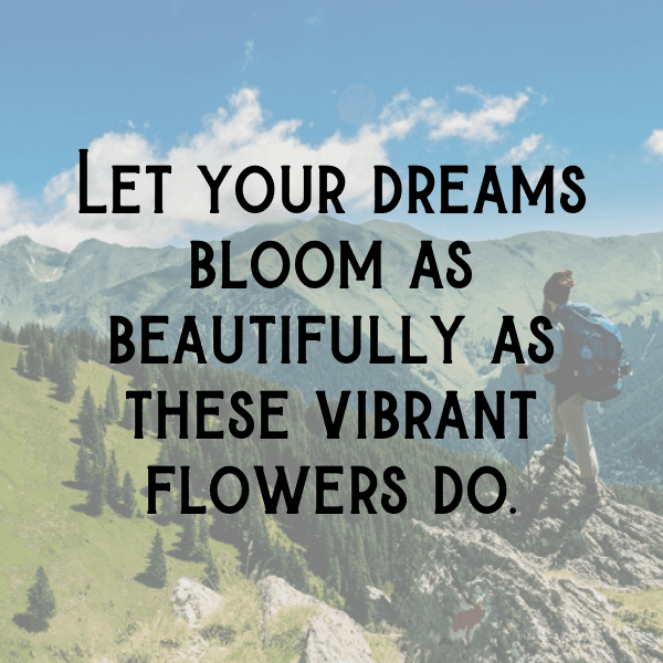 Vinca Captions Photo For Instagram-q0eCm9