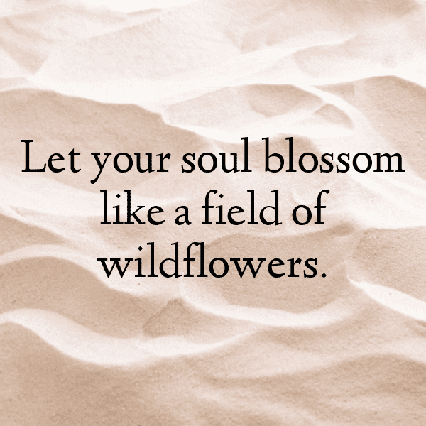 Vinca Captions Photo For Instagram-SZ1QvO