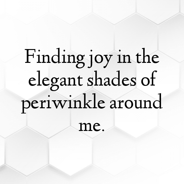 Vinca Captions Photo For Instagram-tP0AJy