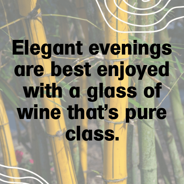 Vineyard Walk Captions Photo for Instagram-Slj0x3