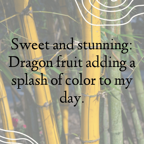 Voavanga Fruit Captions Photo For Instagram-C3Td7B