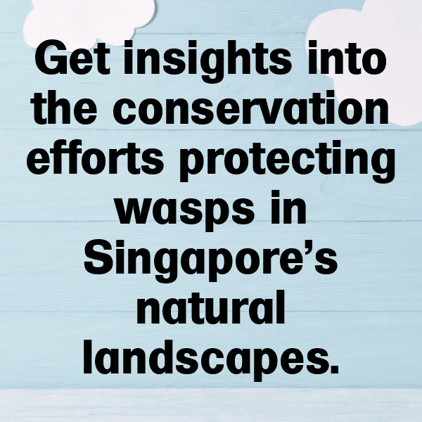 Wasp Captions Image For Instagram-CI20sA