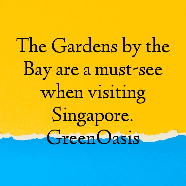 Wasp Captions Image For Instagram-gNQuE2