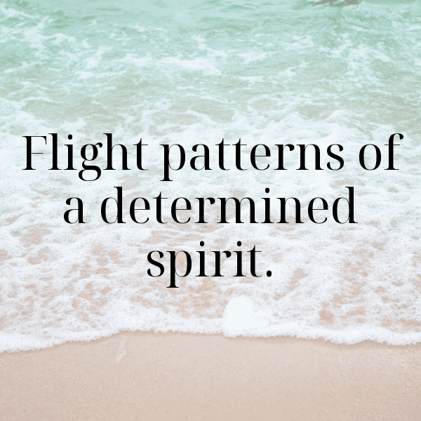 Wasp Captions Image For Instagram-hWQyZy