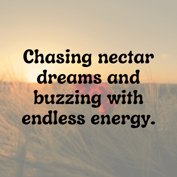 Wasp Captions Photo For Instagram-QTGn0V