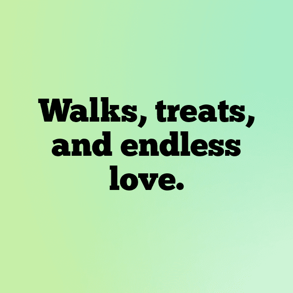 Watch Dogs Captions Image for Instagram-kqxPur