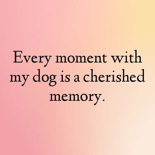 Watch Dogs Captions Photo for Instagram-1K7tI6