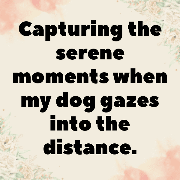 Watch Dogs Captions Photo for Instagram-nAyKr8