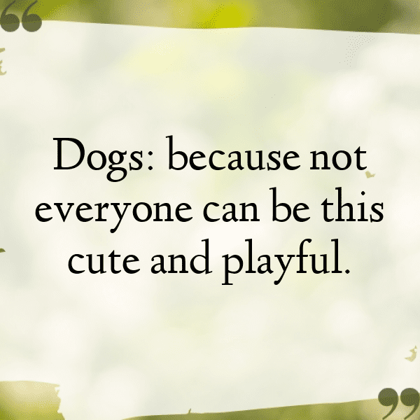 Watch Dogs Captions Photo for Instagram-SR16e5