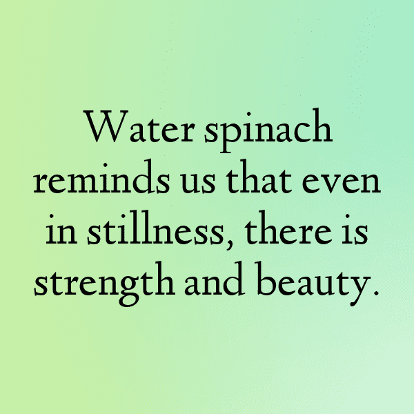 Water Spinach Captions Photo For Instagram-cPyvGK