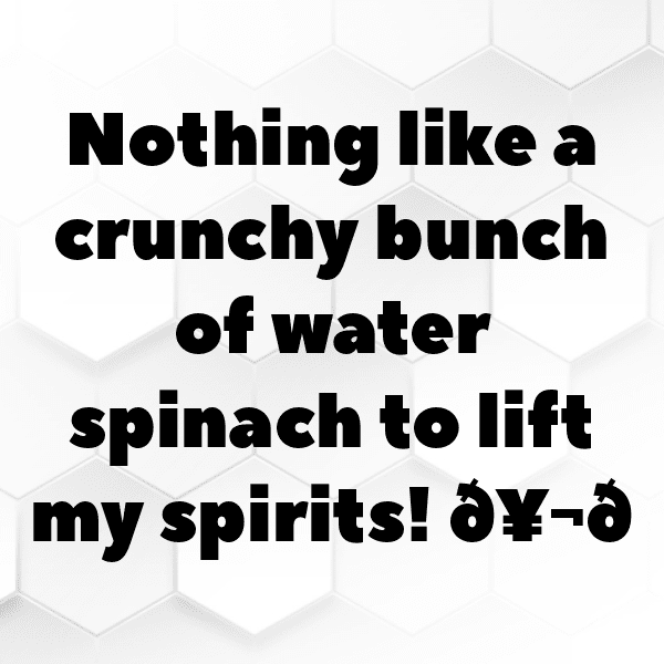 Water Spinach Captions Photo For Instagram-yg3YMG