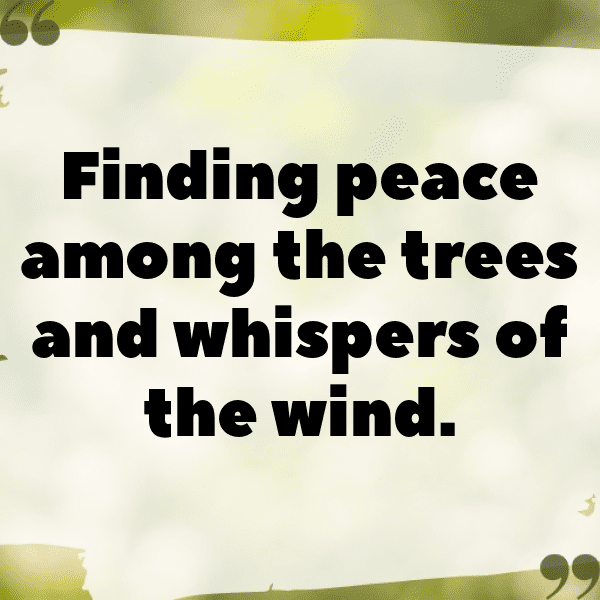 Watercress Captions Image For Instagram-z22rg4