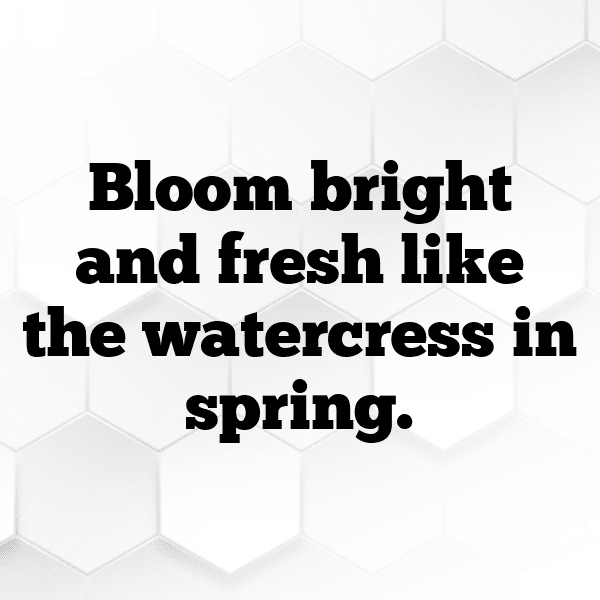 Watercress Captions Photo For Instagram-W7wFk1