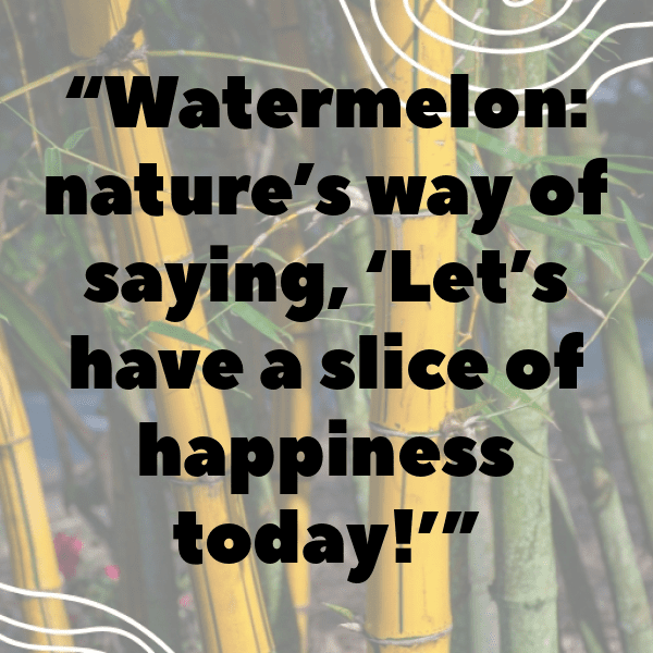 Watermelon Captions Image For Instagram-f8LYsF