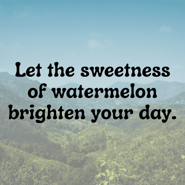 Watermelon Captions Image For Instagram-GDTipn