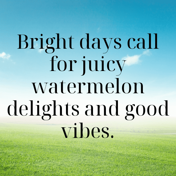 Watermelon Captions Photo For Instagram-cJl5KB