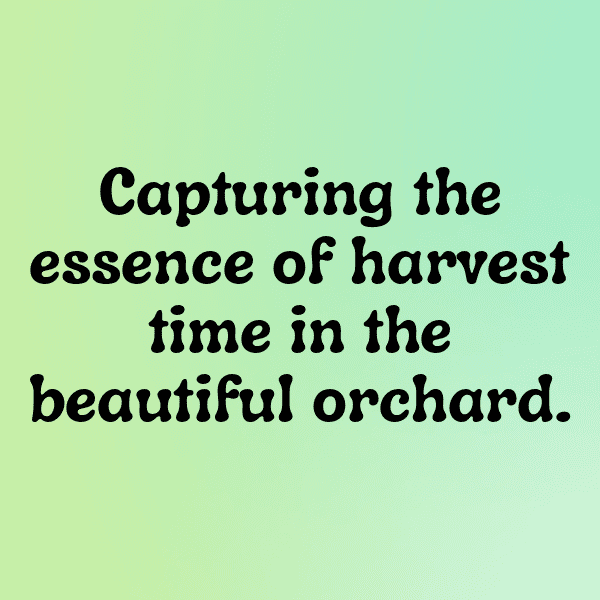 Wax Apple Captions Image For Instagram-yqifEC