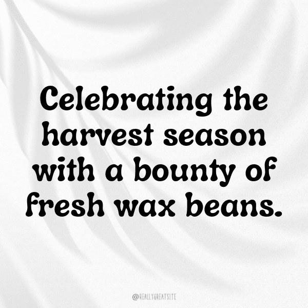 Wax Bean Captions Image For Instagram-AU3BCW