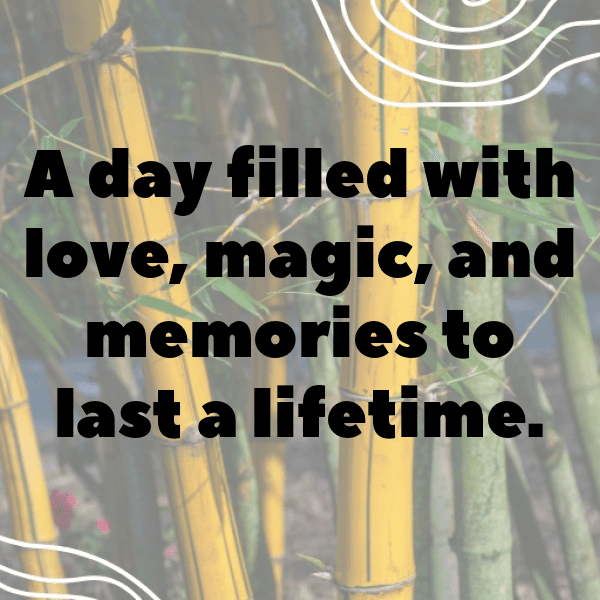 Wedding Vibes Captions Image For Instagram-uQDLIK