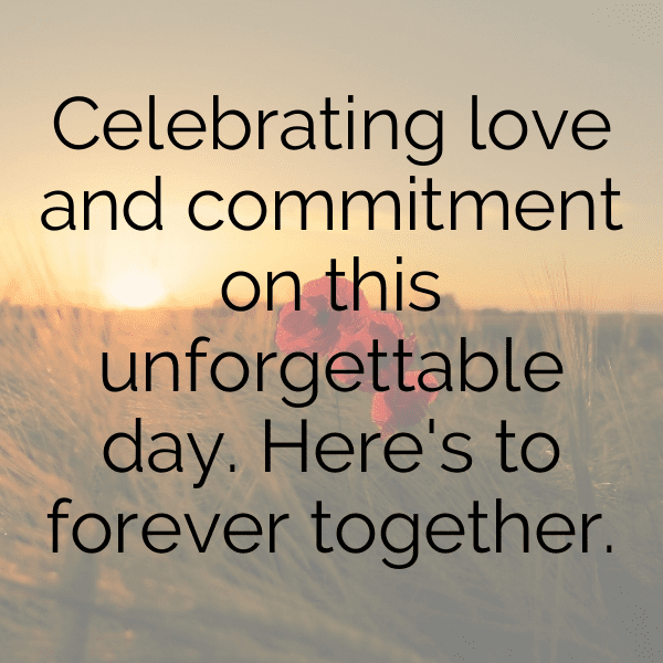 Wedding Vibes Captions Photo For Instagram-bZbN7i