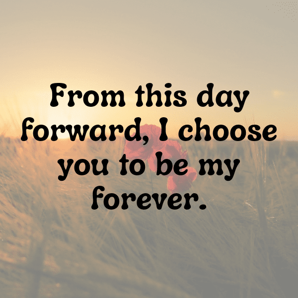 Wedding Vibes Captions Photo For Instagram-CGG2T9