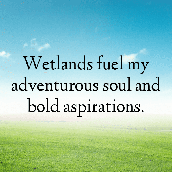 Wetland Captions Photo for Instagram-LdjCdX