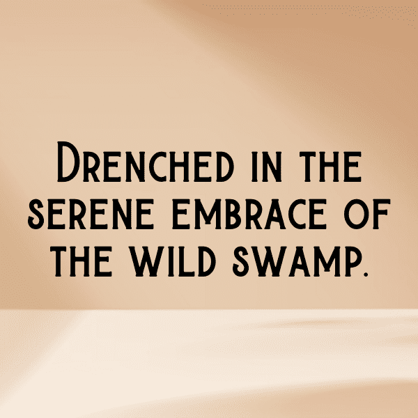 Wetland Captions Photo for Instagram-Wf0JUz