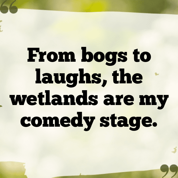 Wetland Captions Photo for Instagram-Wy3Vkn