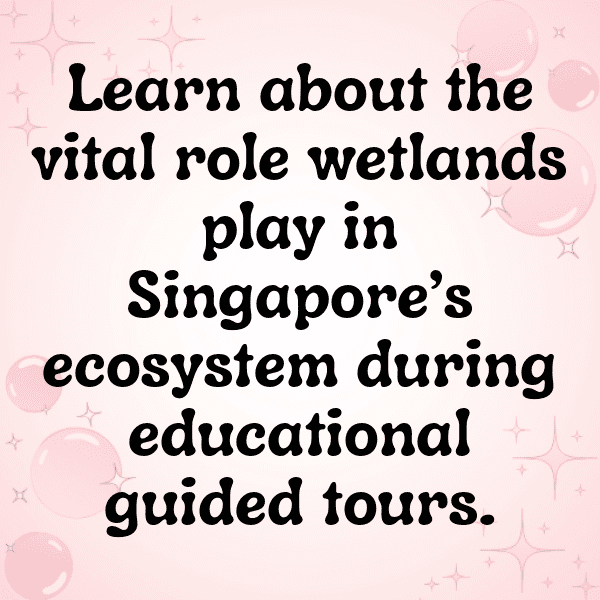Wetland Captions Photo for Instagram-xlVKy5