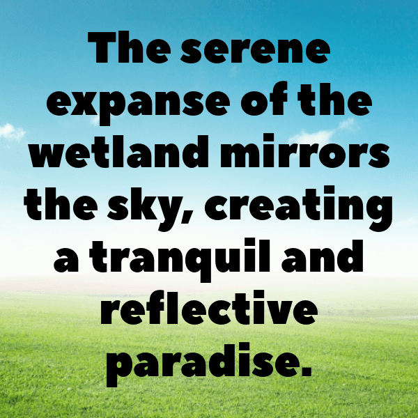 Wetland Captions Photo for Instagram-XO20Vy