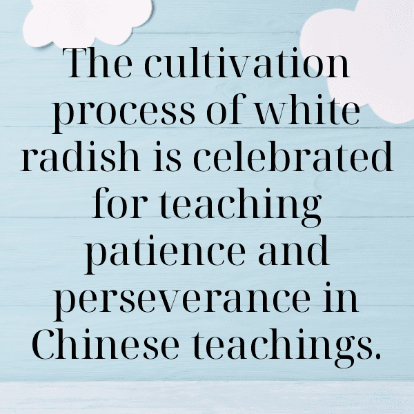 White Radish Captions Image For Instagram-3e7Pnc