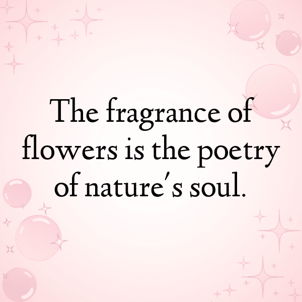 Wildflower Captions Image for Instagram-06bBpa