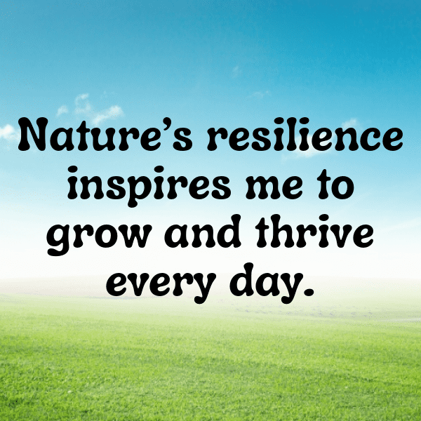 Wildflower Captions Image for Instagram-3K1UUc