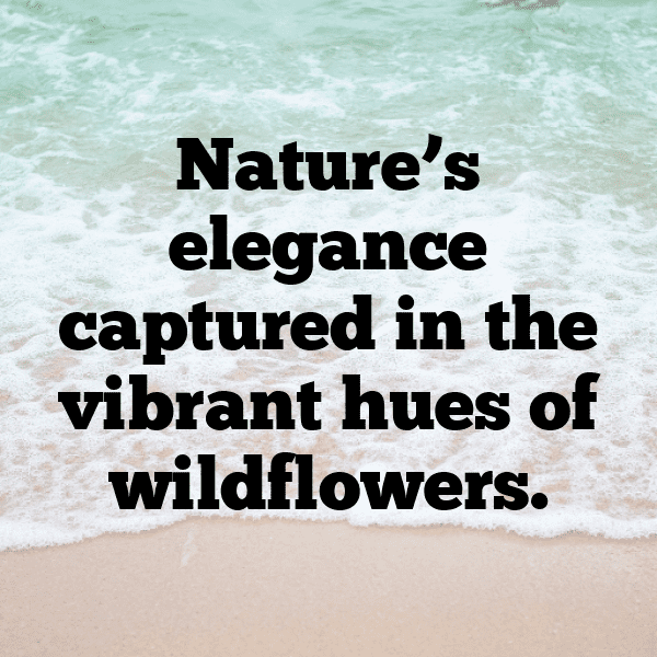 Wildflower Captions Image for Instagram-NgM8Kx