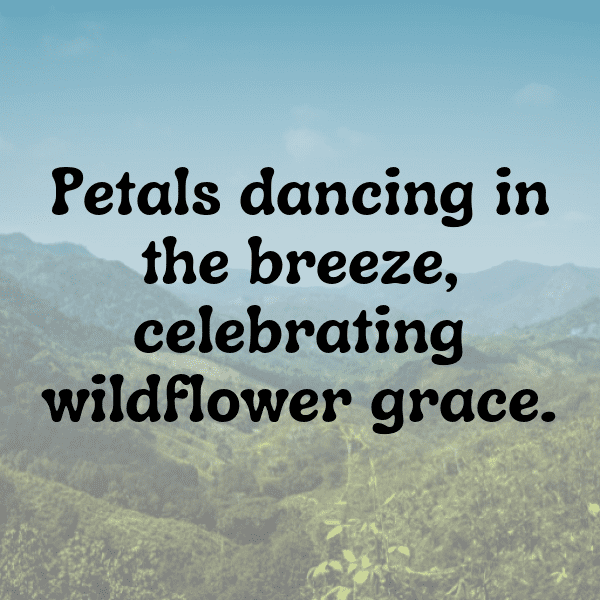Wildflower Captions Image for Instagram-NHXCmd