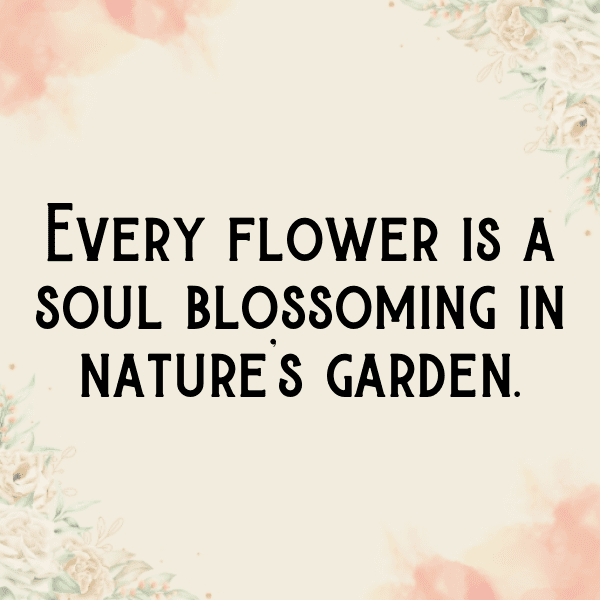 Wildflower Captions Image for Instagram-WJs6C4