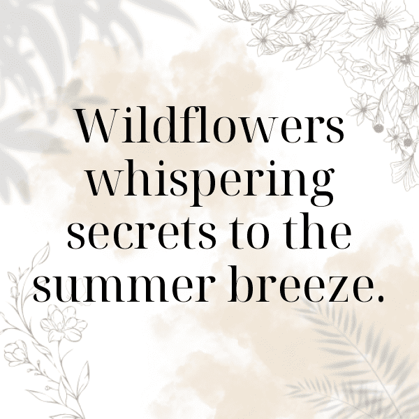 Wildflower Captions Photo for Instagram-6LlFI3