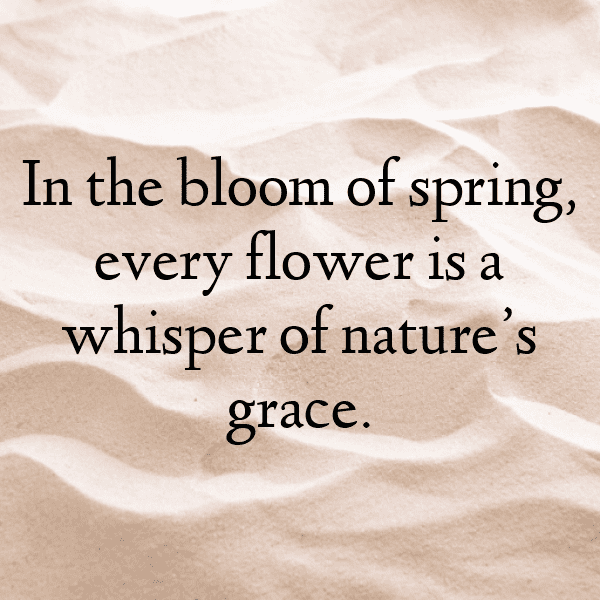 Wildflower Captions Photo for Instagram-BjdB1F