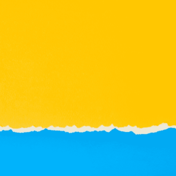 Wildflower Captions Photo for Instagram-xq6DnY