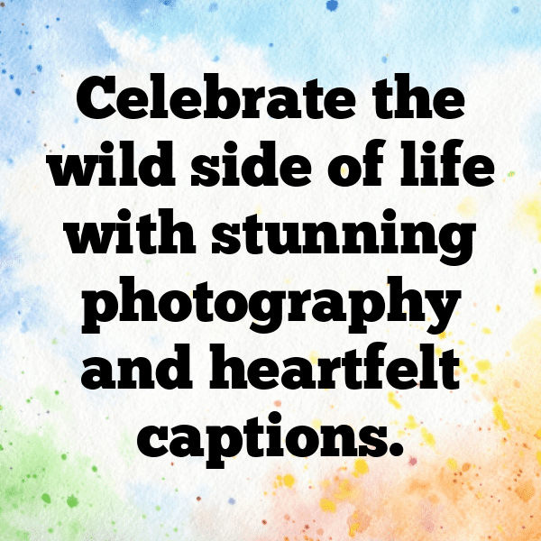 Wildlife Encounter Captions Image for Instagram-0OJBRI