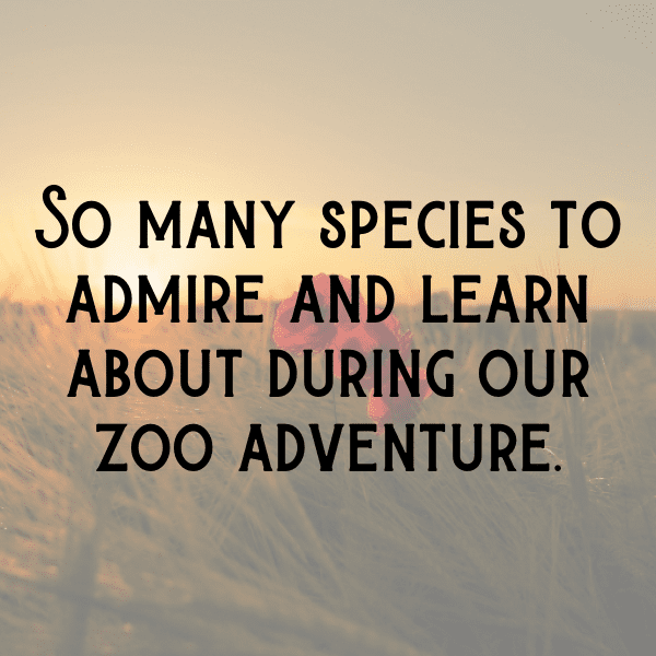 Wildlife Encounter Captions Image for Instagram-8uHA2e