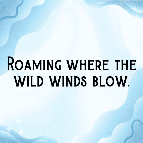 Wildlife Encounter Captions Image for Instagram-LcpvFR