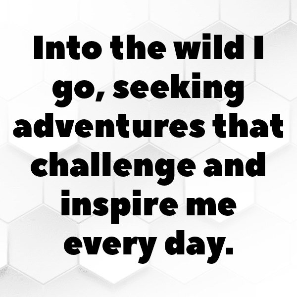 Wildlife Encounter Captions Photo for Instagram-v3LDwJ