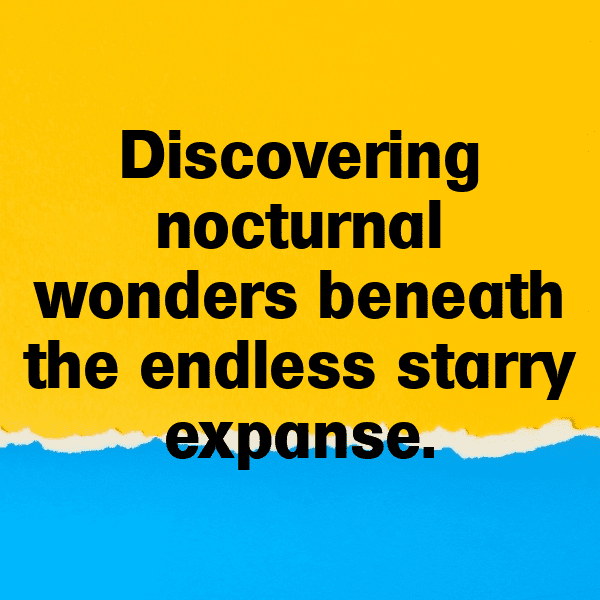 Wildlife Safari Captions Image for Instagram-Q4svSs