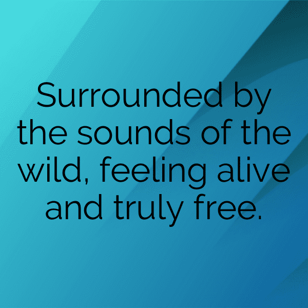 Wildlife Safari Captions Image for Instagram-YDLCRi