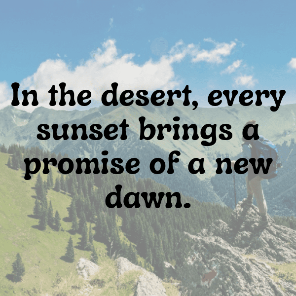 Wildlife Safari Captions Photo for Instagram-IMQbxb