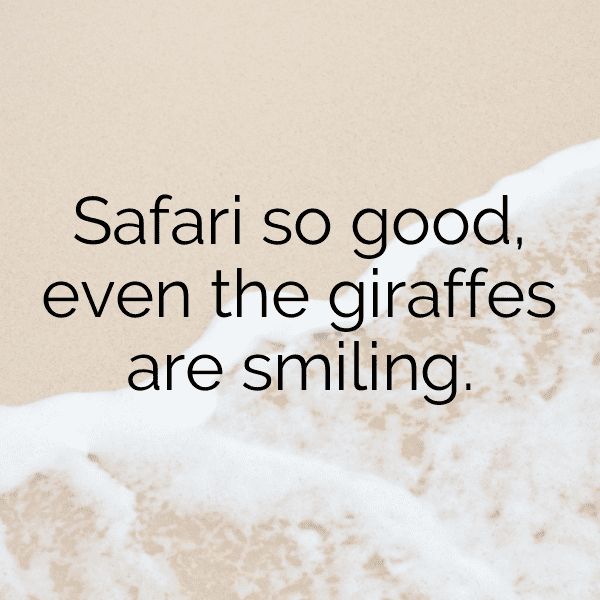 Wildlife Safari Captions Photo for Instagram-oioUro