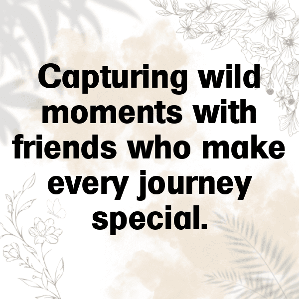 Wildlife Safari Captions Photo for Instagram-rQAXdM